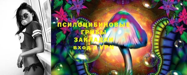 дживик Верея