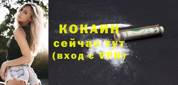 дживик Верея